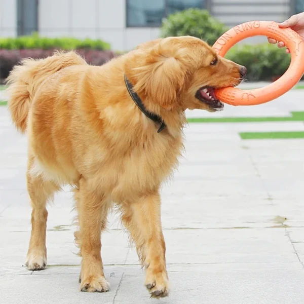 Dog Flying Disk Toy - Image 3