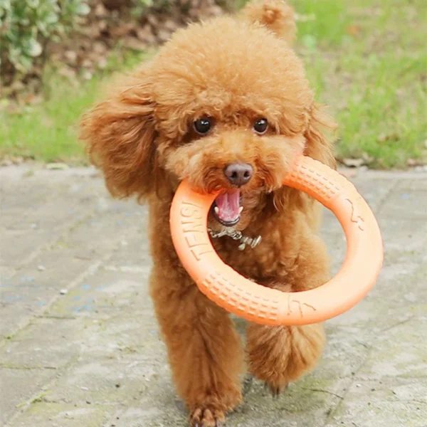 Dog Flying Disk Toy - Image 4