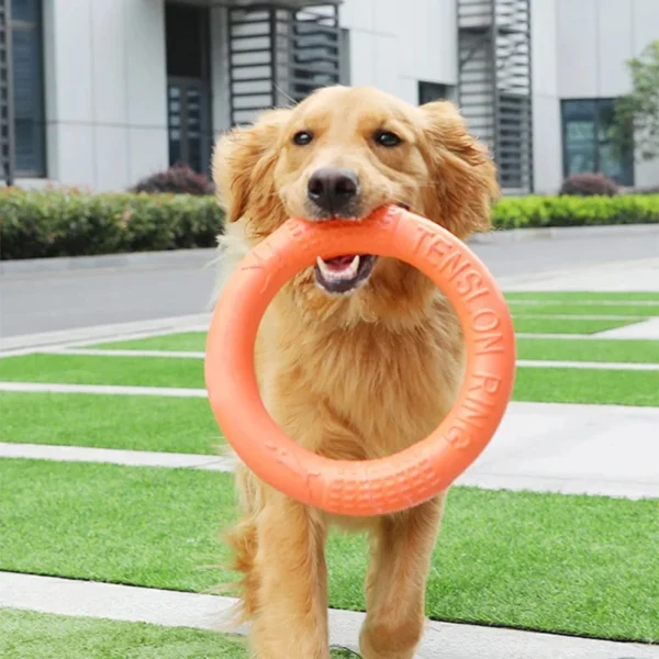 Dog Flying Disk Toy