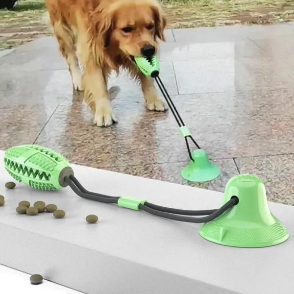 Suction Dog Ball Toy